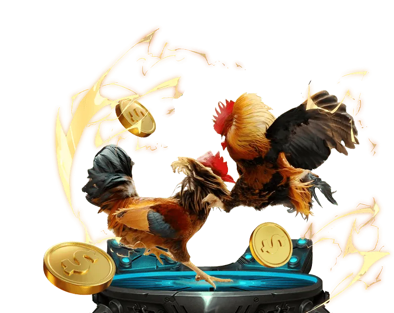 Đá gà trực tiếp B52 shot